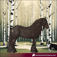 Horse Color:Liver Chestnut Rabicano