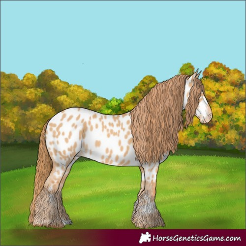 Horse Color:Red Dun Near Leopard 