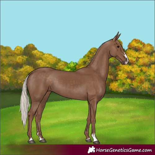 Horse Color:Silver Black 