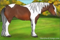 Horse Color:Bay Tobiano