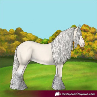 Horse Color:Cremello Dun Tobiano 