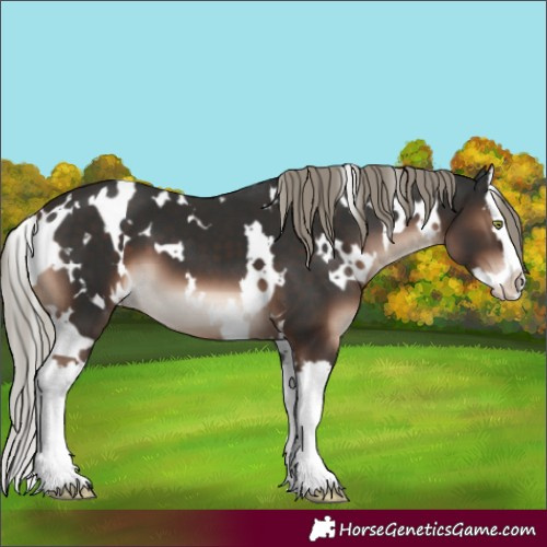 Horse Color:White Spotted Liver Chestnut Mushroom Splash