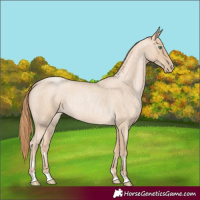 Horse Color:Smoky Blue Roan Pearl 