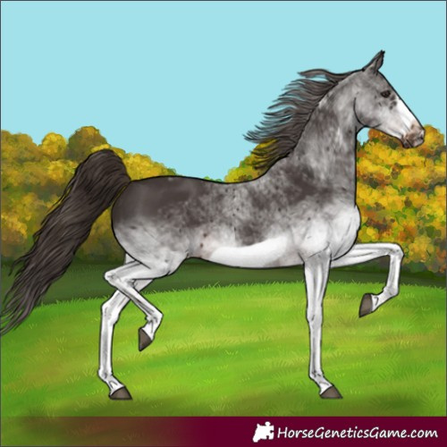 Horse Color:White Spotted Liver Chestnut Frame 
