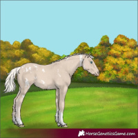 Horse Color:White Spotted Cremello Tobiano