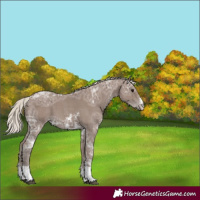 Horse Color:Silver Black Ice Sabino