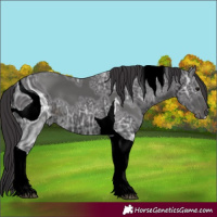 Horse Color:ERROR: UNKNOWN ANOMALY