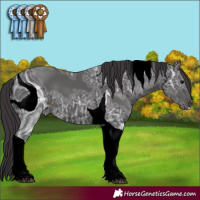 Horse Color:ERROR: UNKNOWN ANOMALY