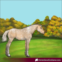 Horse Color:Silver Buckskin Ice 