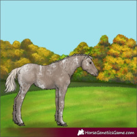 Horse Color:Silver Smoky Black Ice