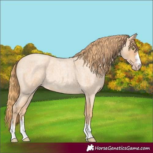 Horse Color:Unknown 