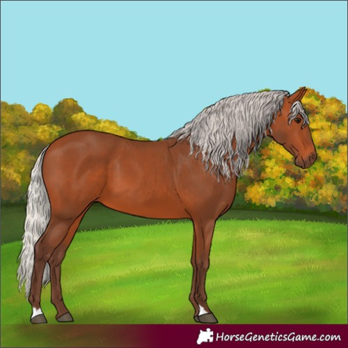 Horse Color:Unknown 