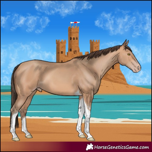 Horse Color:Amber Champagne Tobiano 