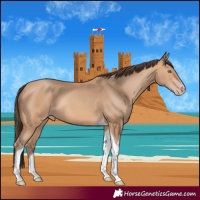 Horse Color:Amber Champagne Tobiano