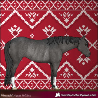 Horse Color:Black Rabicano 