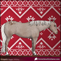 Horse Color:Silver Black Appaloosa 