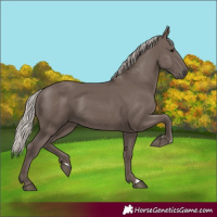 Horse Color:Silver Black 