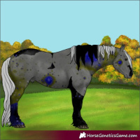 Horse Color:ERROR: UNKNOWN ANOMALY
