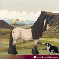 Horse Color:Bay Dun