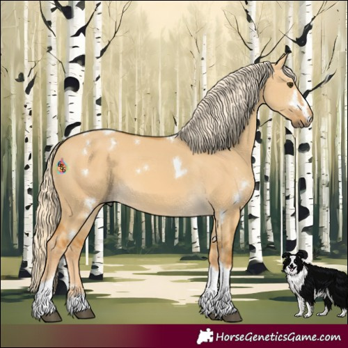 Horse Color:White Spotted Palomino Dun Tobiano
