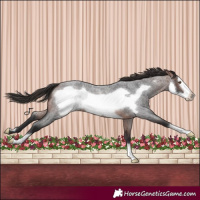 Horse Color:Brown Roan Frame