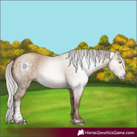 Horse Color:Gray Silver Sable Champagne Dun Tobiano 