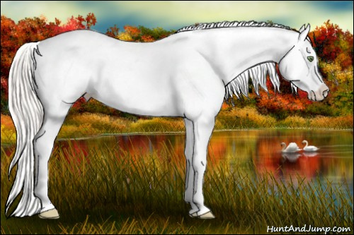 Horse Color:Silver Classic Cream Champagne Roan Splash Tobiano Frame Varnish Rabicano 