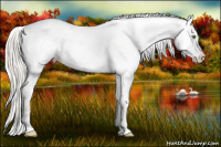 Horse Color:Silver Classic Cream Champagne Roan Splash Tobiano Frame Varnish Rabicano 