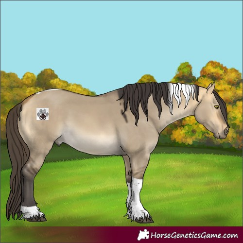 Horse Color:Buckskin Dun Mushroom Tobiano 