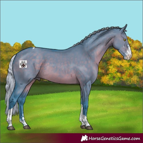 Horse Color:Watercolor Silver Brown Dun Sabino Tobiano Rabicano 