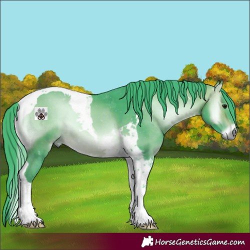 Horse Color:Watercolor Bay Onyx Tobiano 