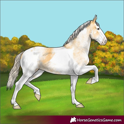 Horse Color:White Spotted Palomino Splash Tobiano