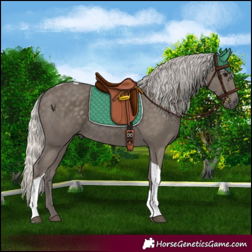 Horse Color:Silver Smoky Black Tobiano 