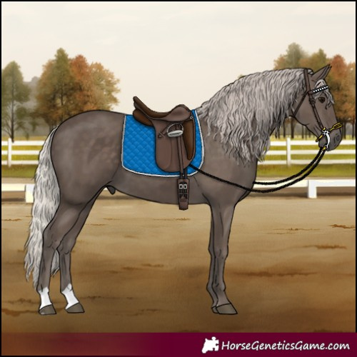 Horse Color:Silver Black 