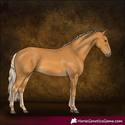 Horse Color:Palomino 