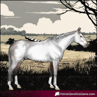 Horse Color:Gray Bay Frame 