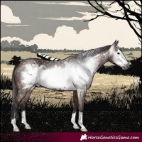 Horse Color:Gray Bay Frame 