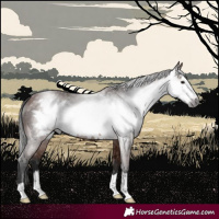 Horse Color:Gray Bay Frame 