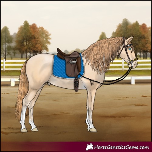 Horse Color:Buckskin Pearl Sabino Tobiano 