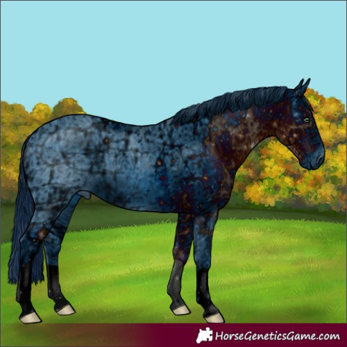 Horse Color:ERROR: UNKNOWN ANOMALY