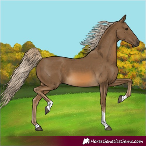 Horse Color:Chocolate Palomino Tobiano 