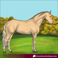 Horse Color:Palomino 