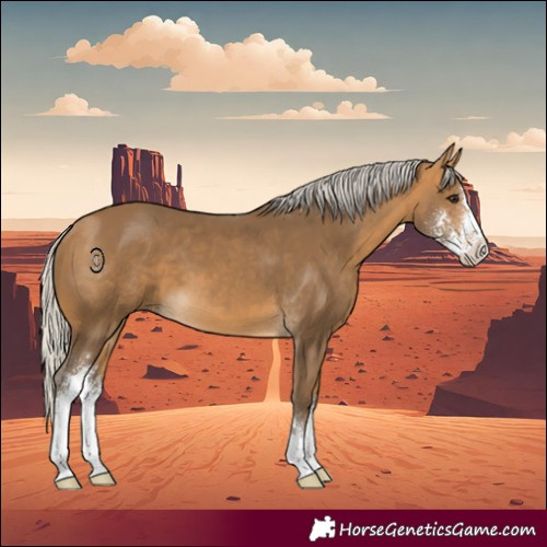 Horse Color:Silver Buckskin Sabino 