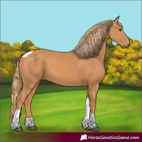 Horse Color:Chestnut Tobiano