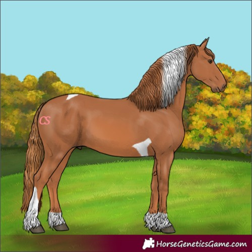 Horse Color:Chestnut Tobiano 