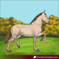 Horse Color:Red Dun 