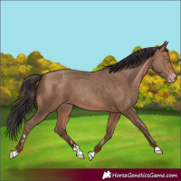 Horse Color:Sable Champagne 