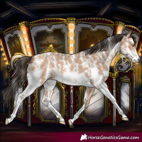 Horse Color:Amber Champagne Sabino 