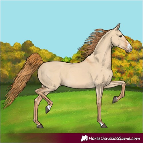 Horse Color:Red Dun Sabino 