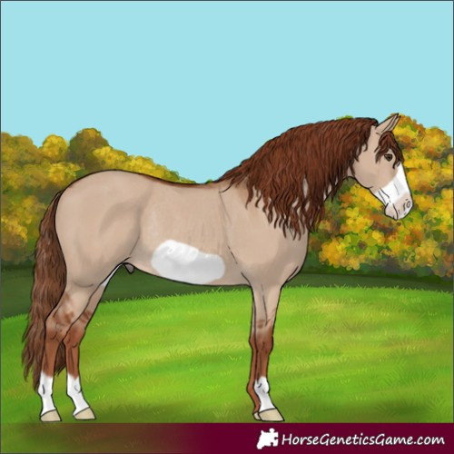 Horse Color:Unknown 